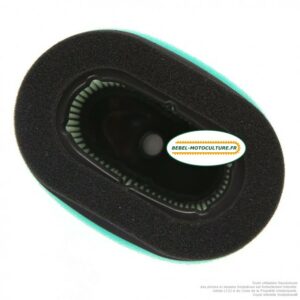 Filtre à air pour Briggs & Stratton 690610, 697029