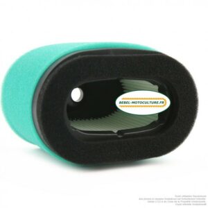 Filtre à air pour Briggs & Stratton 690610, 697029
