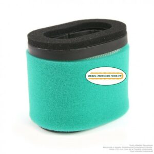 Filtre à air pour Briggs & Stratton 690610, 697029