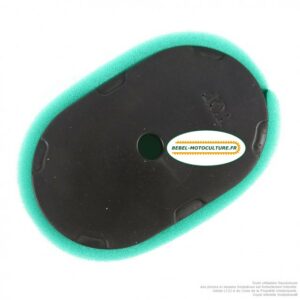 Filtre à air pour Briggs & Stratton 690610, 697029