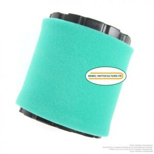 Filtre à air pour Briggs & Stratton 794935, 798897