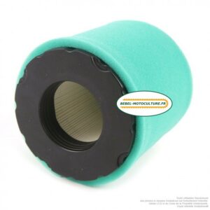 Filtre à air pour Briggs & Stratton 794935, 798897