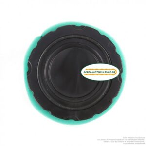 Filtre à air pour Briggs & Stratton 794935, 798897