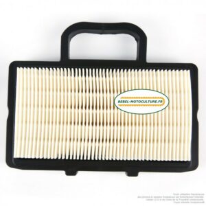 Filtre à air pour Briggs & Stratton 792101, 672772, 671231