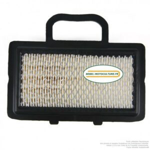 Filtre à air pour Briggs & Stratton 792101, 672772, 671231