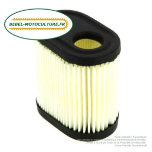 Filtre à air pour Tecumseh LEV100, LEV115, LEV120, 36905