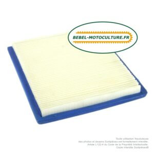 Filtre à air pour Briggs & Stratton Vanguard V-Twin 805113