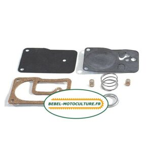 Kit membranes pour Briggs & Stratton 393397