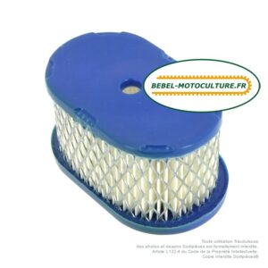 Filtre à air pour Briggs & Stratton Europa 494586, 497725
