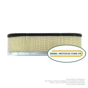 Filtre à air pour Briggs & Stratton 399968