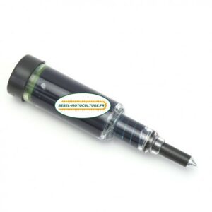 Pompe à graisse pour guide chaîne de tronçonneuse