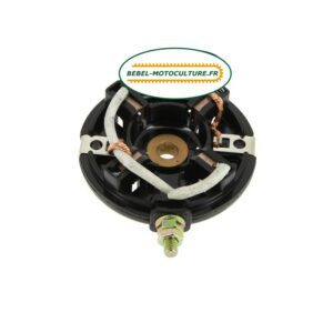 Charbon et support pour démarreur Briggs & Stratton 395537