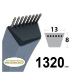 Courroie moteur pour Oléo-Mac OM72C Hydro, G135061404E0