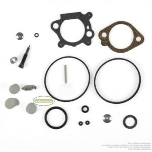 Kit joints pour carburateurs Briggs et Stratton 498261