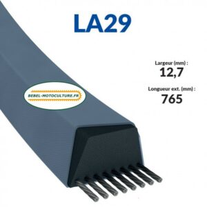 Courroie pour fraise à neige Honda 22431768003, 22431736701