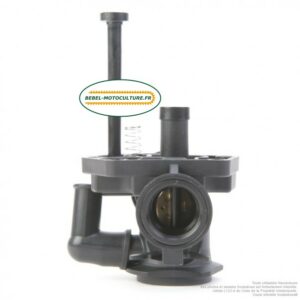 Carburateur Briggs & Stratton 494407, 494775