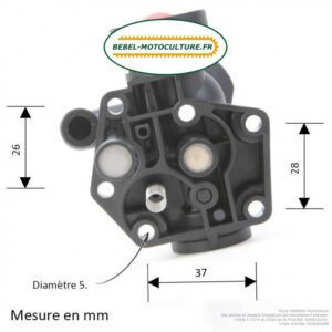 Carburateur Briggs & Stratton 494407, 494775