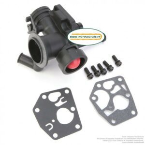 Carburateur Briggs & Stratton 494407, 494775