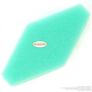 Filtre à air pour Briggs & Stratton 797301, 4249, 5433