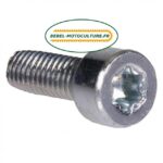 Vis M5X12 TORX 27 pour Stihl 90223410960