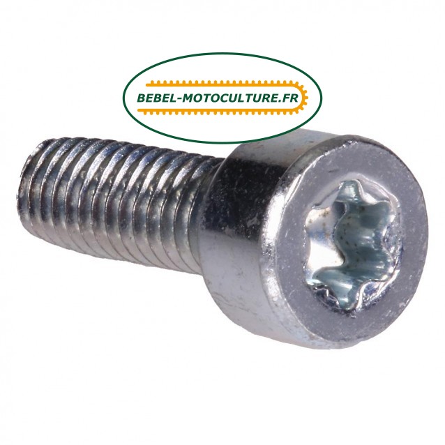 Vis M5X12 TORX 27 pour Stihl 90223410960