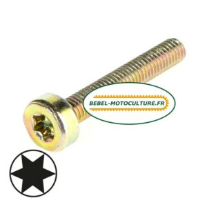 Vis M5X30 TORX 27 pour Stihl 90363411070