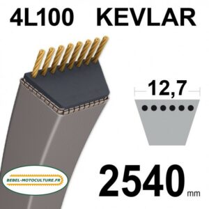 Courroie Kevlar traction Oleo-Mac OM101C (M), OM102C (M), G135062011E0