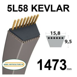 Courroie 5L580 Kevlar Trapézoïdale Lisse