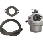 Carburateur pour Briggs & Stratton 590399, 794653