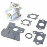 Carburateur pour Briggs & Stratton 790120, 694202