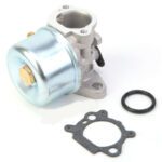 Carburateur pour Briggs & Stratton 799866, 794304, 790845