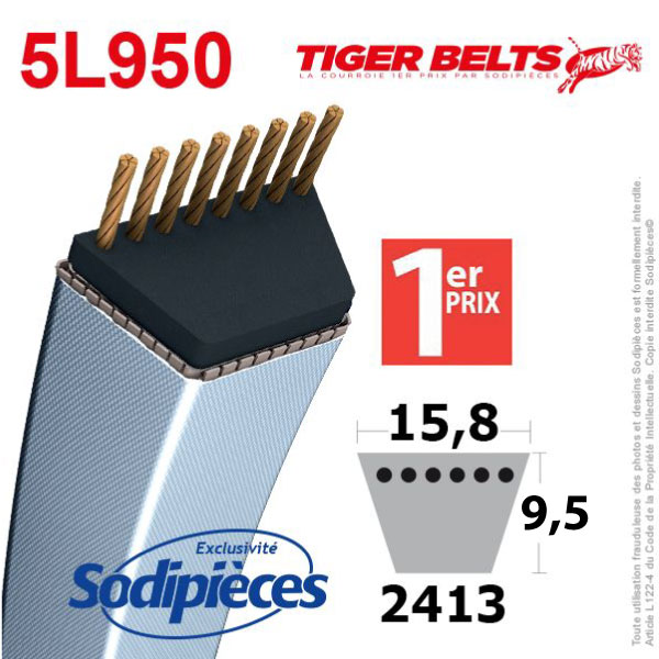 Courroie 5L950 Tiger Belts