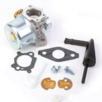 Carburateur pour Briggs & Stratton 798653, 791077, 795069
