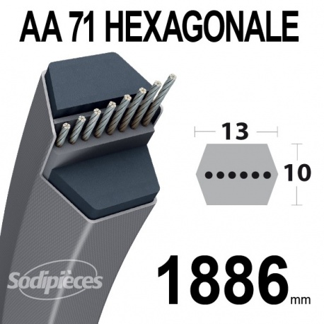 Courroie AA71 hexagonale Lisse, P138710232