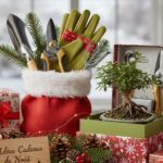 Idées cadeaux de Noël : les meilleurs outils pour jardinier