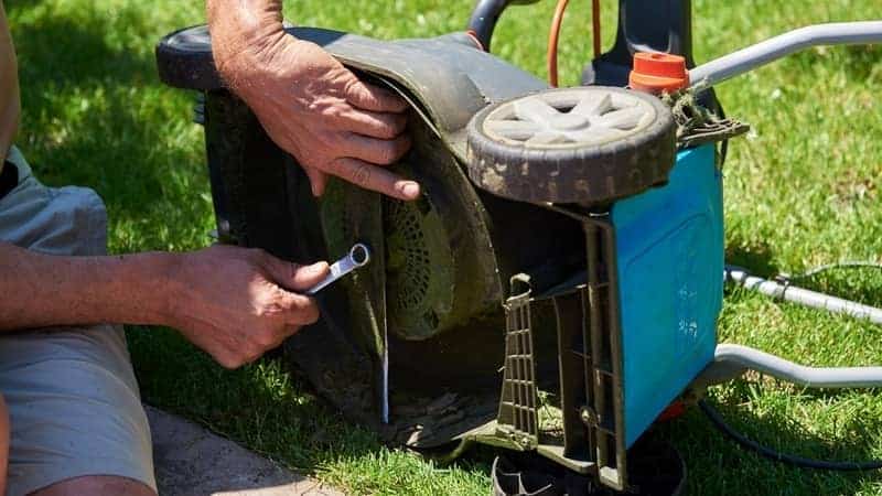 Quand faut-il changer sa lame de tondeuse à gazon ?